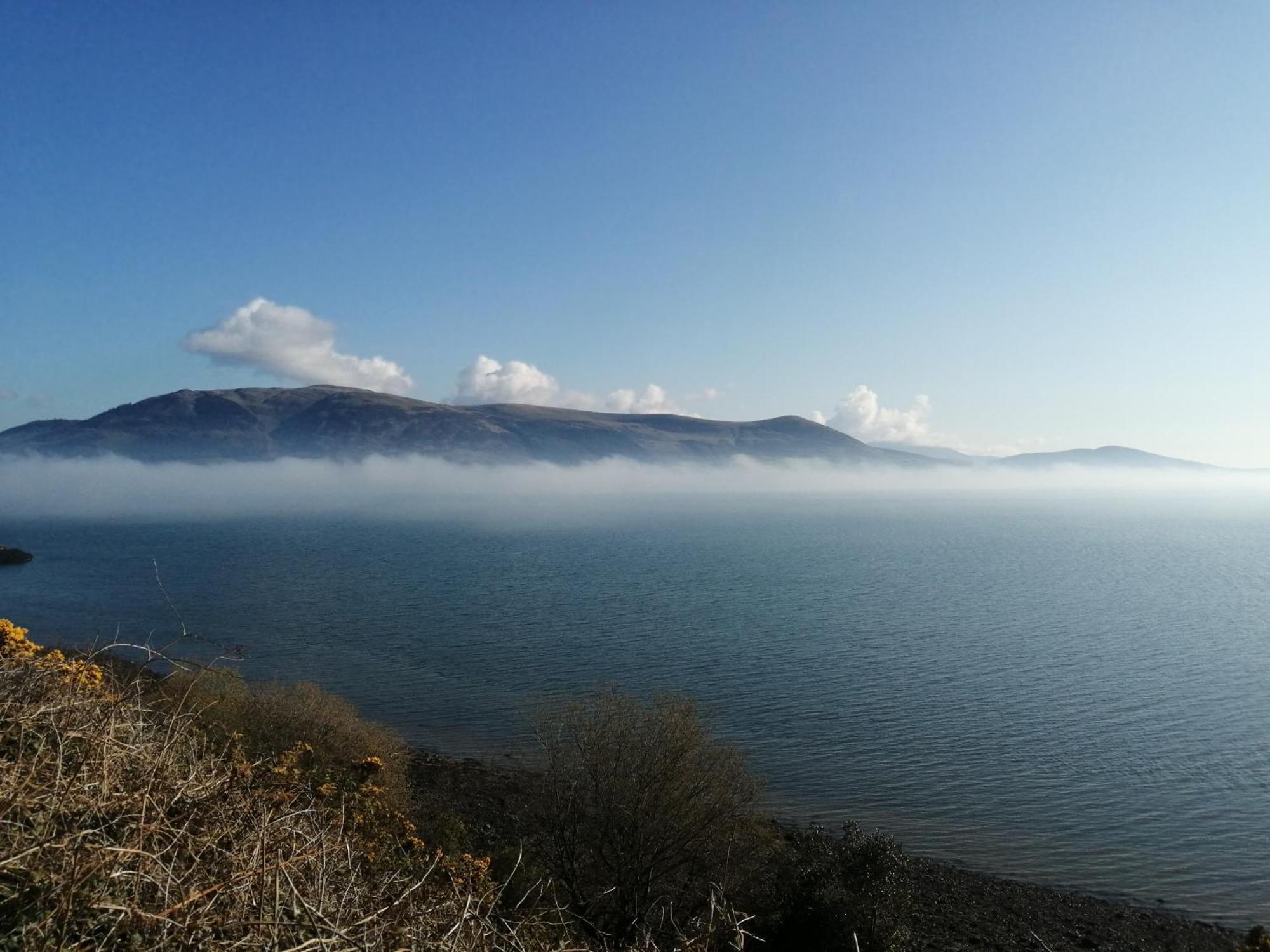 The Oystercatcher Bed and Breakfast Rostrevor Kamer foto